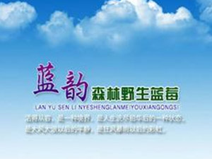 �������{�ɭ��ʳƷ���޹�˾