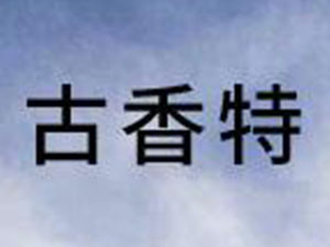 �Ϻ��������M�����Q�����޹�˾