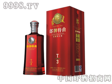 ��������T3