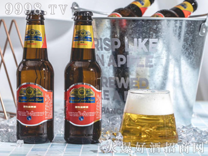 CLASSICAL BEERơ�Ƽt��(bi��o)��12��500ml��