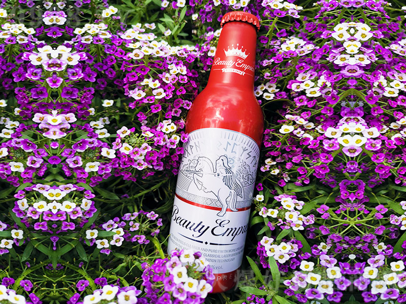 Ӣ������t��Xƿơ�ơ�9��355ml��
