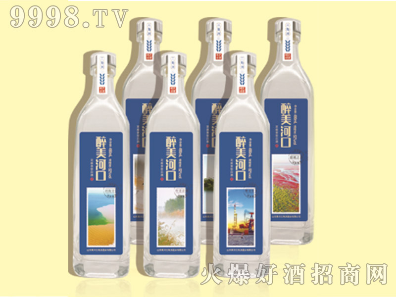 �����ӿ�53��490ml֥������
