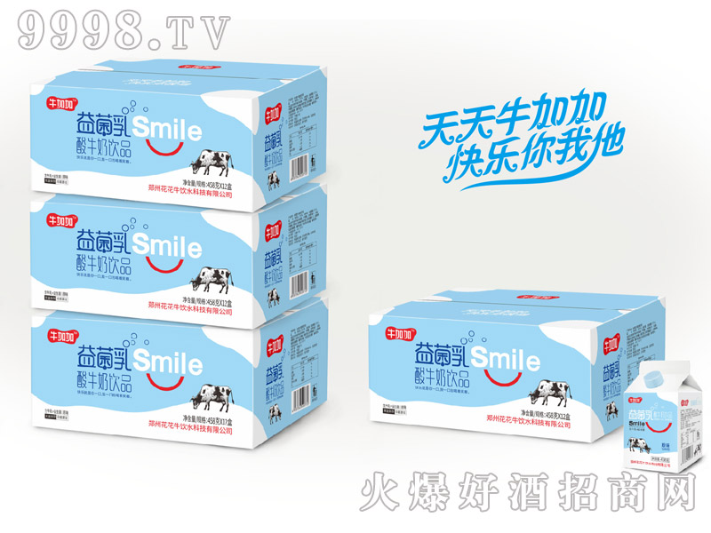 ţ�Ӽ��������ţ��ԭζ458g��12��
