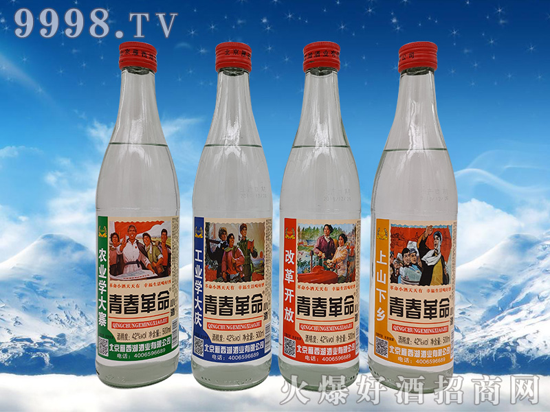 �ഺ������42��500ml�����Ͱ׾�