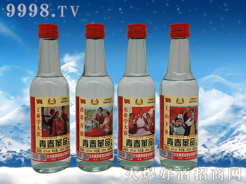 �ഺ������42��260ml�����Ͱ׾�