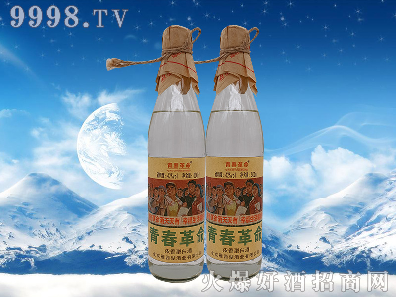 �ഺ������42%vol 500ml�����Ͱ׾�