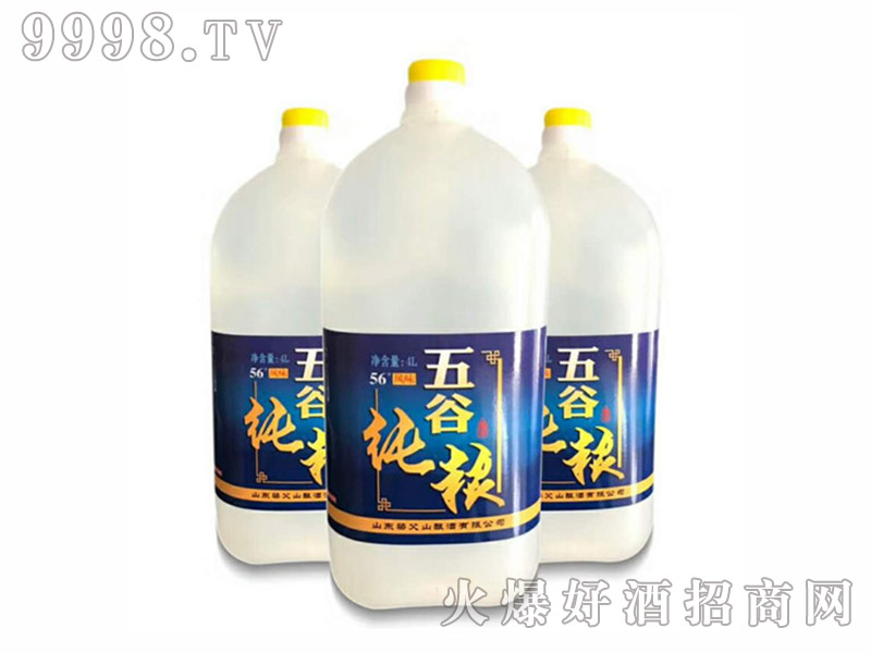 ��ȼ��Z��56��4L��