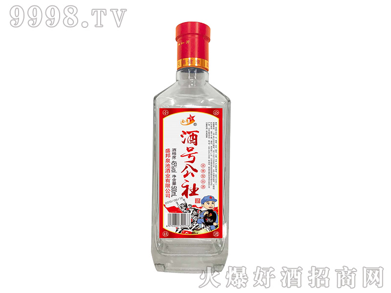 ��̖����Ɲ����Ͱ׾ơ�45��500ml��