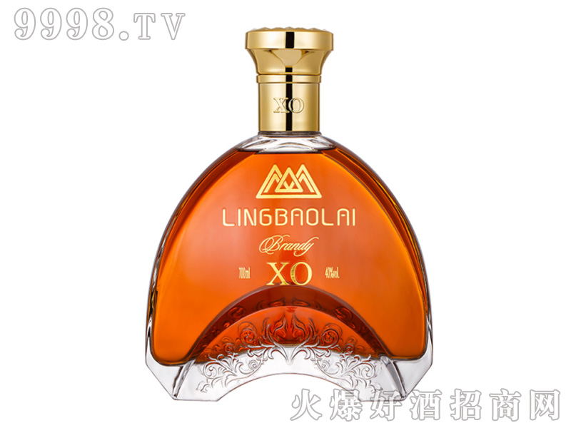 �I���RXO��40��700ml��