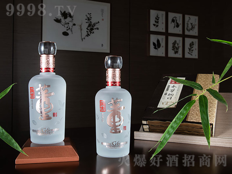 ���ܶ���G6ƿ �����Ͱ׾ơ�54�� 500ml��