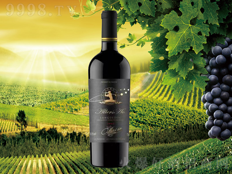 ����˹�W������ߠ���ɼt���Ѿơ�13.5�� 750ml��