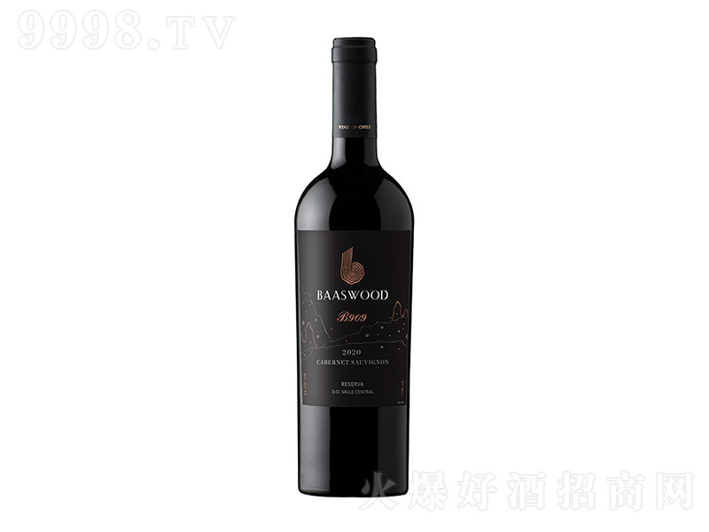 ���»����B909�t���Ѿ�750ml-�t�����Ϣ