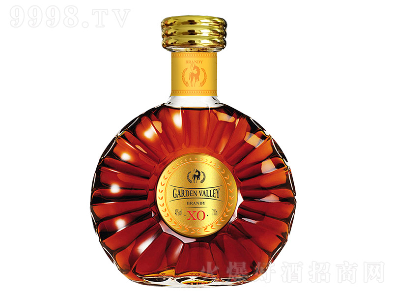 ���@�ȡ����Ɓ�XO���m�ء�40�� 700ml��
