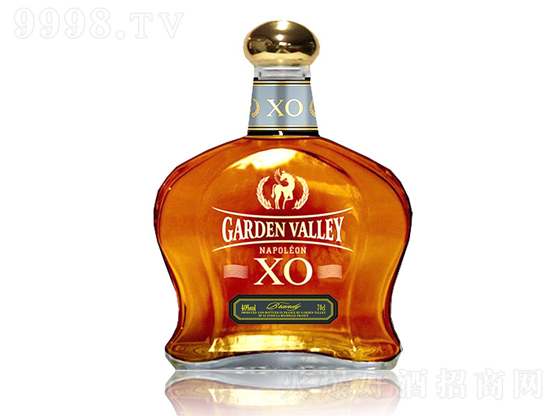 ���@�ȡ����Ɓ�XO���m��N77��40�� 700ml��