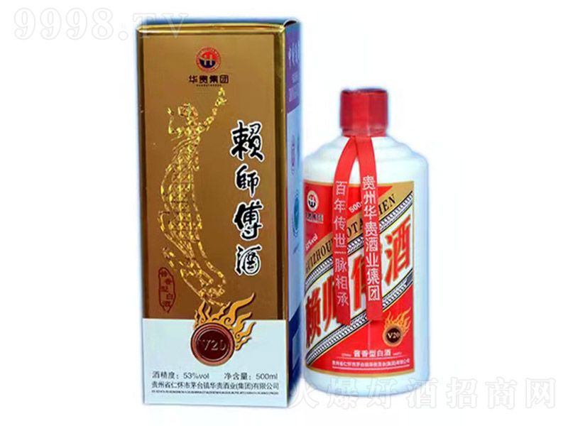 ه������V20 �u���Ͱ׾ơ�53�� 500ml��