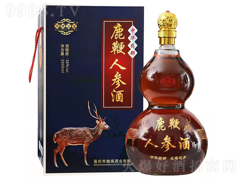 �A������¹���˅��ơ�38�� 2.5L��-�B�������Ϣ