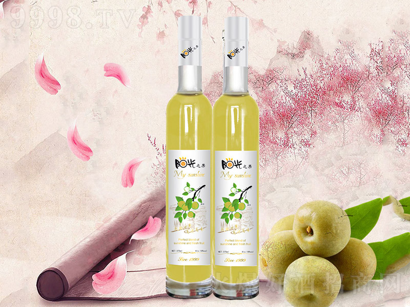 ꖹ�֮��ϵ���B(y��ng)��¶����÷�ơ�12�� 500ml��-�خa(ch��n)��������Ϣ