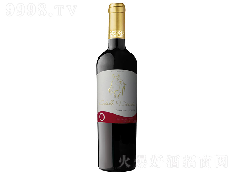 ������R���Ѿ����x����ϼ�顾13�� 750ml��