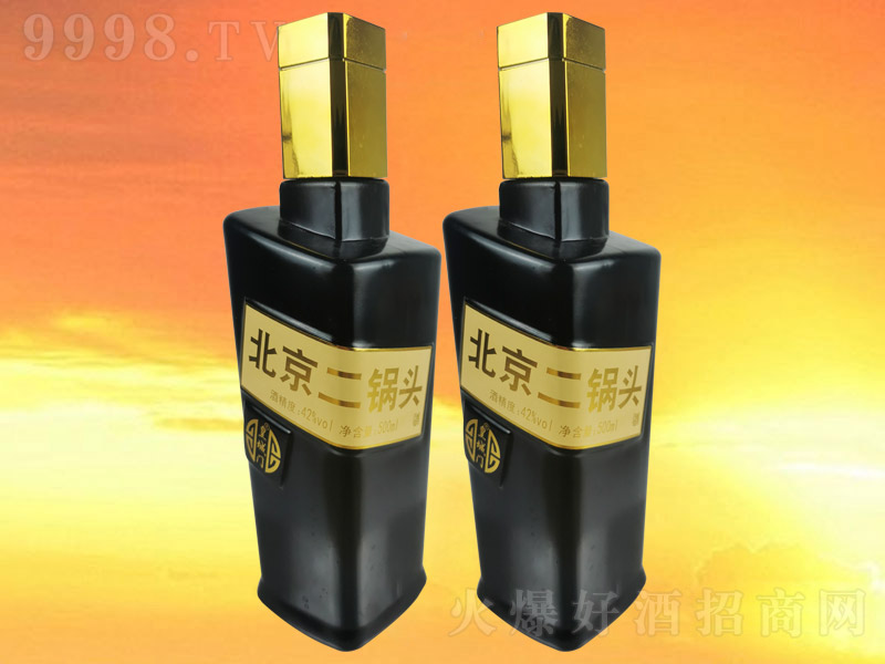�ʳ��T��������^�ƺ�ƿ �����Ͱ׾ơ�42�� 500ml��