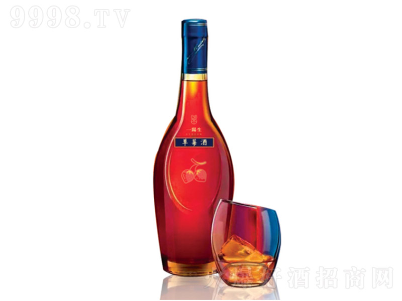 һ�(y��ng)����ݮ�Ͼ�ɣ�ز�ݮ�ơ�12�� 500ml��