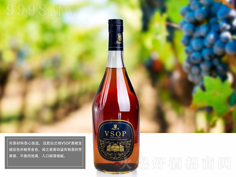ɽ�D���m��VSOP-1�������桾40�� 1L��