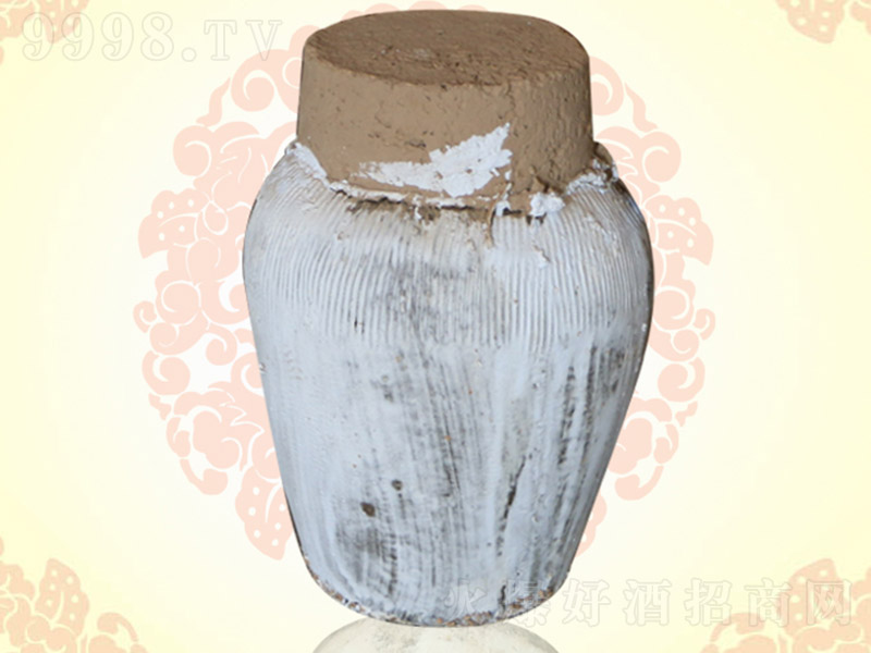 ��ī�ϾƷ≯�ơ�11.5�� 10L��
