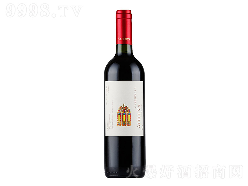 ����·�����俨�T���Ÿɼt��13�� 750ml��
