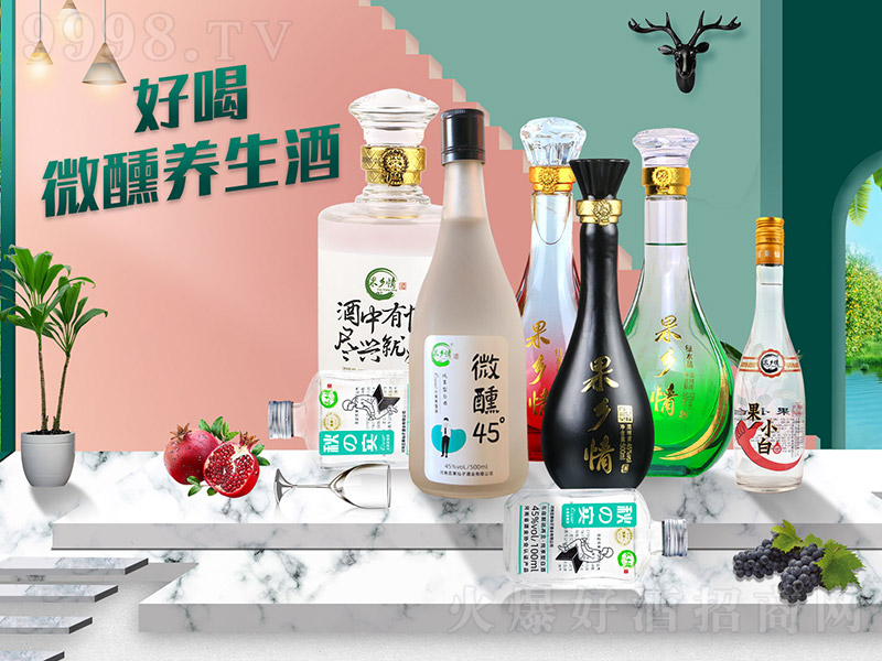 �ٹ����ӾƽM�� �����Ͱ׾ơ�45�� 500ml��-�׾����Ϣ