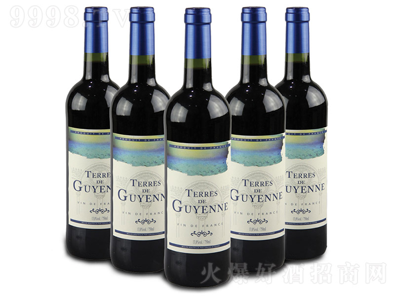 ���ù灆�Ǽt���Ѿ�750ml-�t��������Ϣ