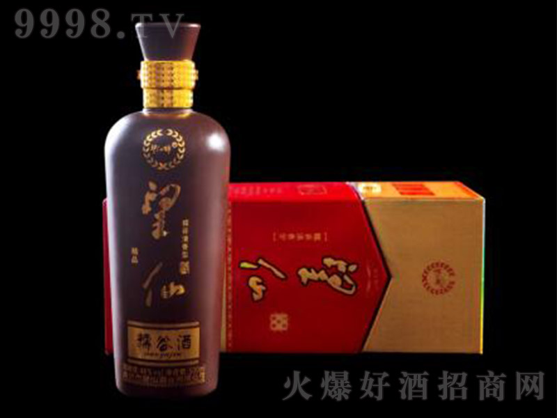 ��Ʒ����Ŵ�Ⱦ� �����Ͱ׾ơ�48�� 500ml��-�׾����Ϣ
