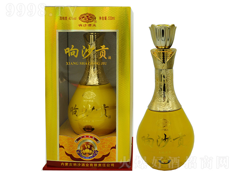 �ɳؕ��V6 �����͡�40�� 500ml��