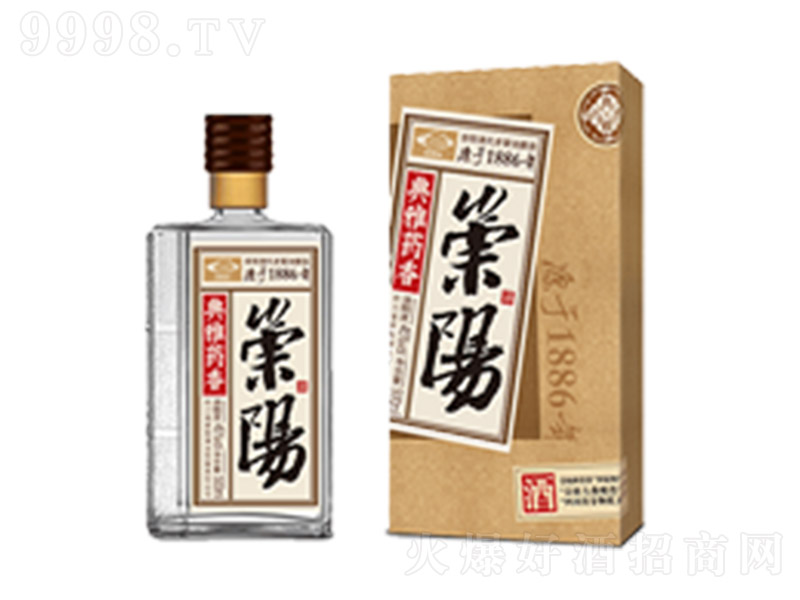 ��ꖾƵ���ˎ�� �����Ͱ׾ơ�45�� 500ml��