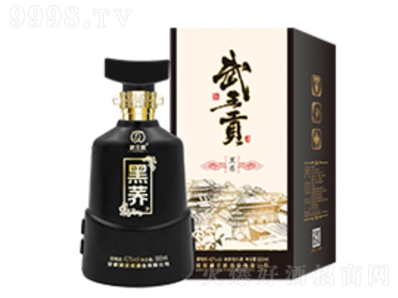 ����ؕ�ƺ��w �w���Ͱ׾ơ�42�� 500ml��