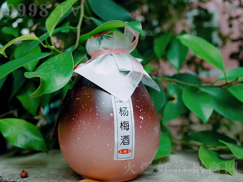 ���޽��ᄗ�÷�ơ�12�� 330ml��-�خa(ch��n)�����Ϣ