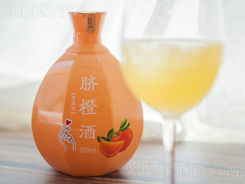 ���޽�l����Ě�Ⱦơ�12�� 520ml��-�خa�����Ϣ