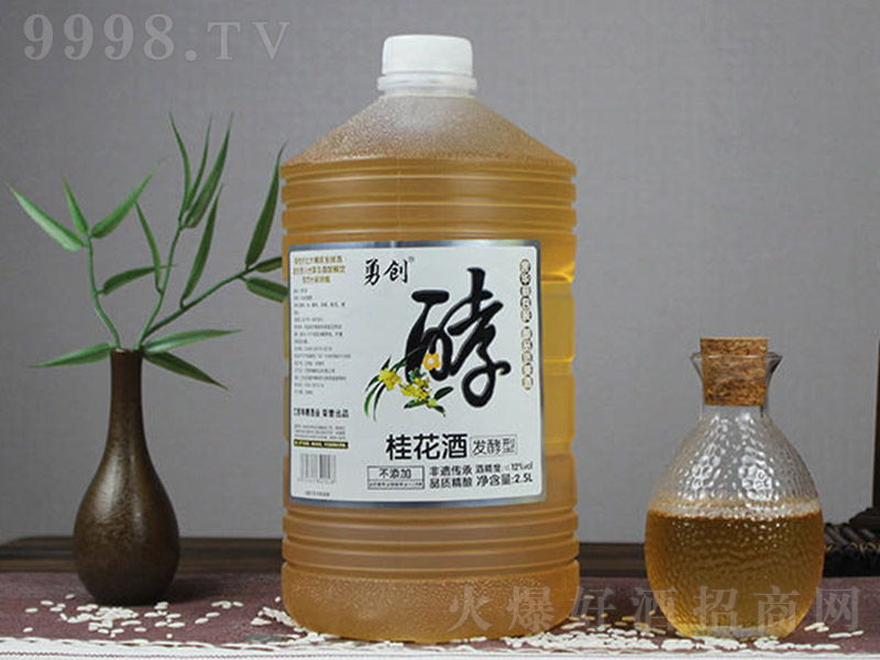 ���l���͹𻨾ơ�12�� 2.5L��-�خa�����Ϣ