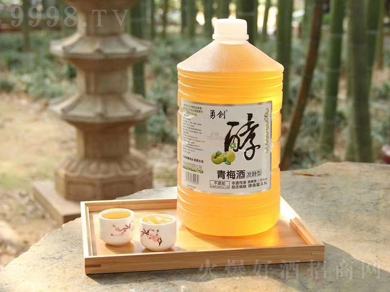 ���l������÷�ơ�12�� 2.5L��