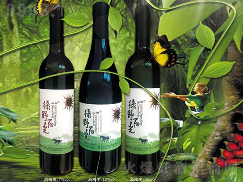 �GҰꖹ�ɽ���Ѿơ�12�� 750ml��