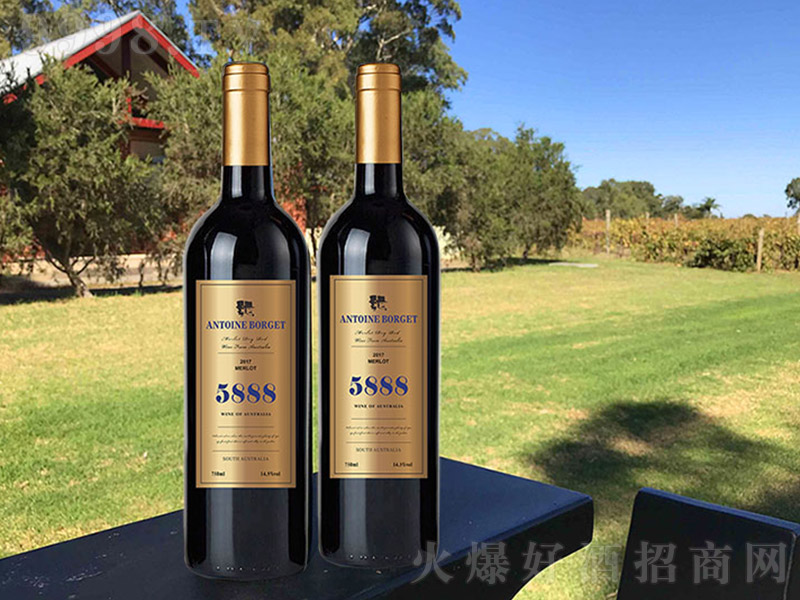 5888�����Ӹɼt�����S��(bi��o)��13�� 750ml��-�t�����Ϣ