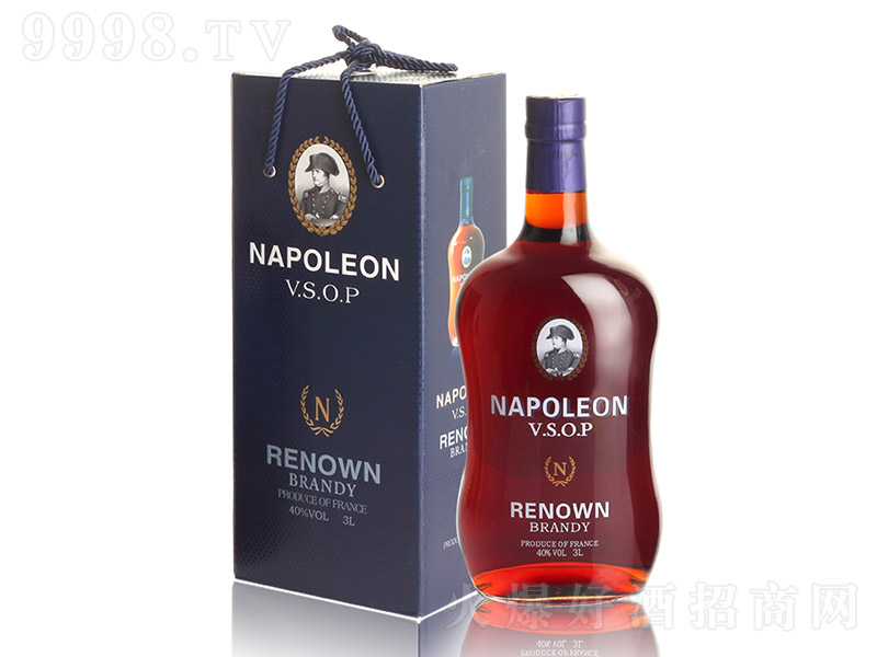 ���Z���Ɓ����m��VSOP-3L