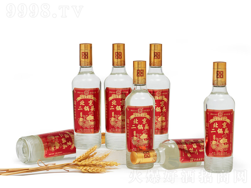 ���S�Ʊ�������^��������t�� �����Ͱ׾ơ�42�� 500ml��-�׾����Ϣ