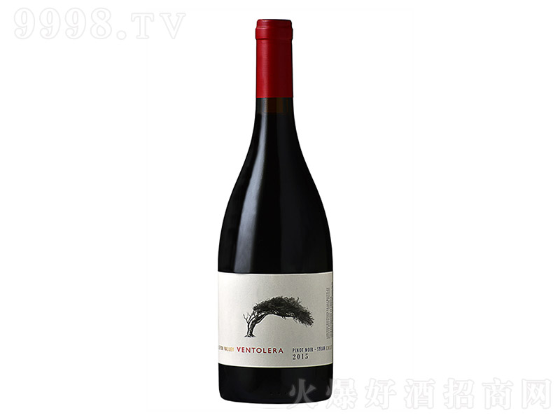 �����R����Ƥ�Z�����ɼt���Ѿơ�13�� 750ml��-�t�����Ϣ