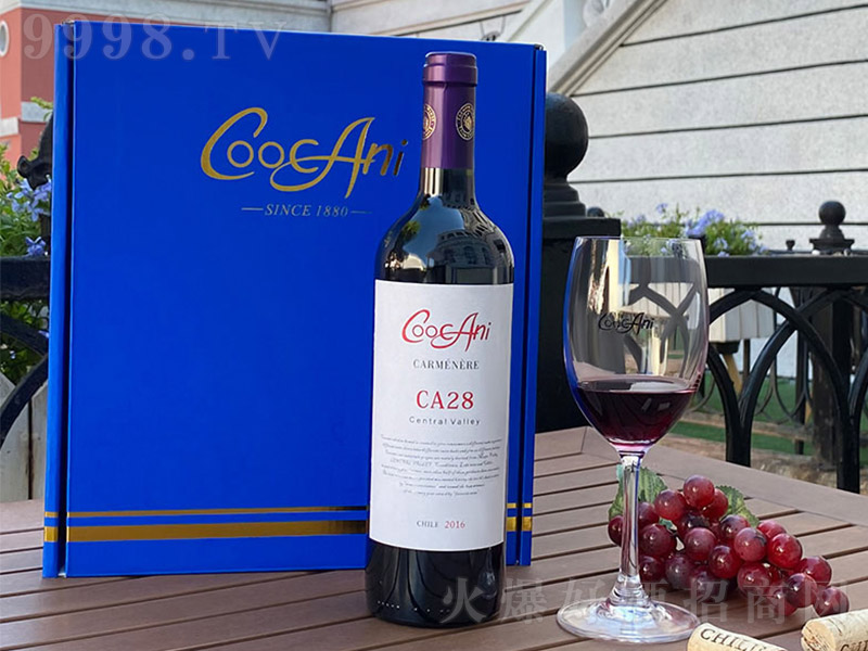 �찬��CA28���������Ѿơ�13�� 750ml��