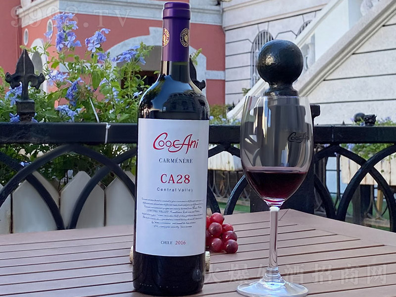 �찬��CA28���������Ѿ�ƿ��13�� 750ml��