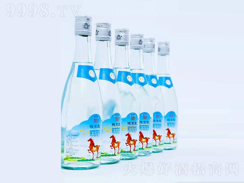 �Fľ���ƿ�� �����Ͱ׾ơ�50�� 500ml��