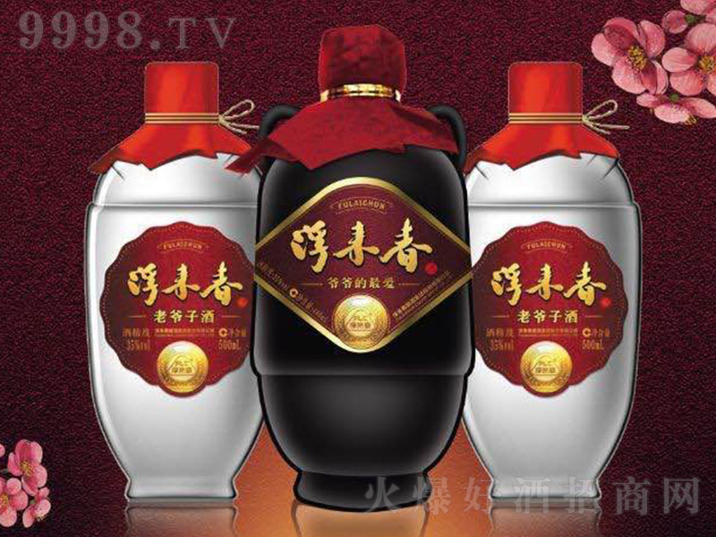 �������ƽM�� �����Ͱ׾ơ�35�� 500ml��