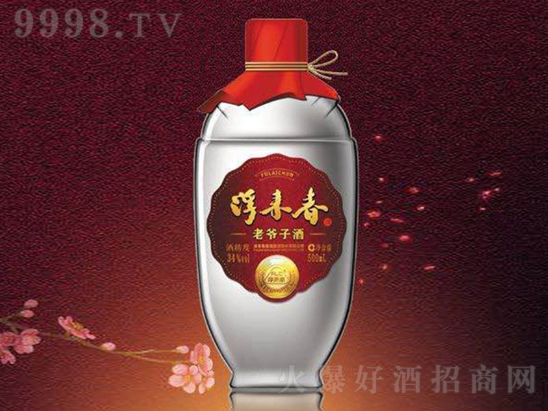 �������Ϡ��Ӿ� �����Ͱ׾ơ�34�� 500ml��