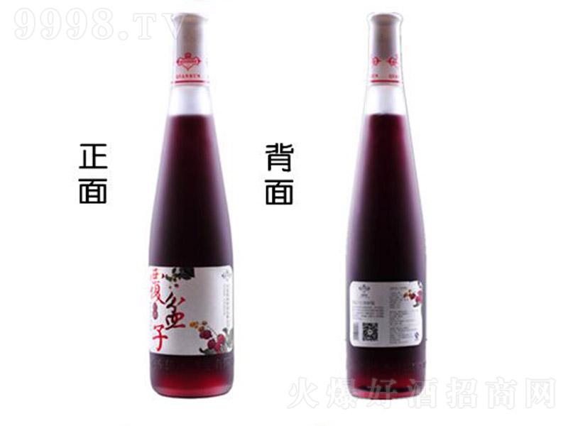 Ǭ��(r��n)��(j��ng)�串���Ӹɼt�t�ơ�12�� 500ml��