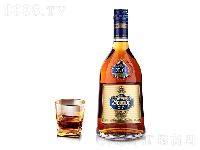 ʥ�Ǳ�ɽ髰��m��XO���bbrandy��ơ�42��700ml��-�t��������Ϣ