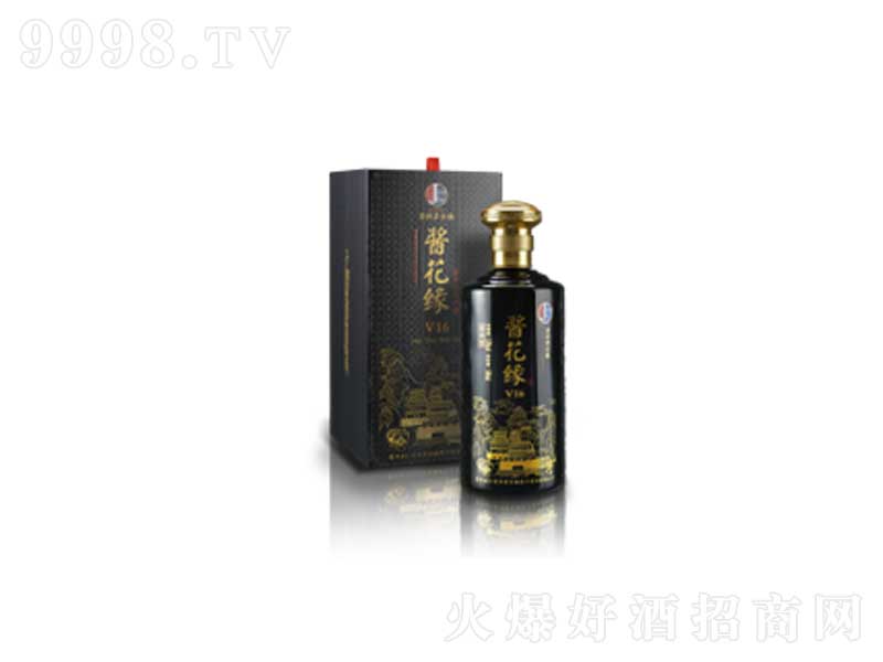 �u����V16�u���͡�53��500ml��